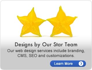 Design by our star team.  Our web design services include branding, CMS, SEO and customizations.